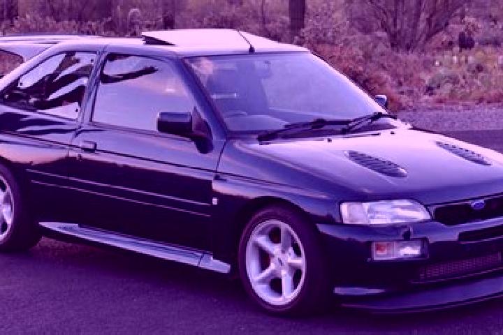 escort Gavanesti