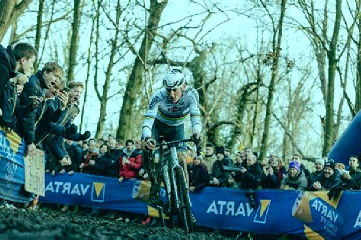 escort Gavere