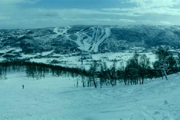 escort Geilo