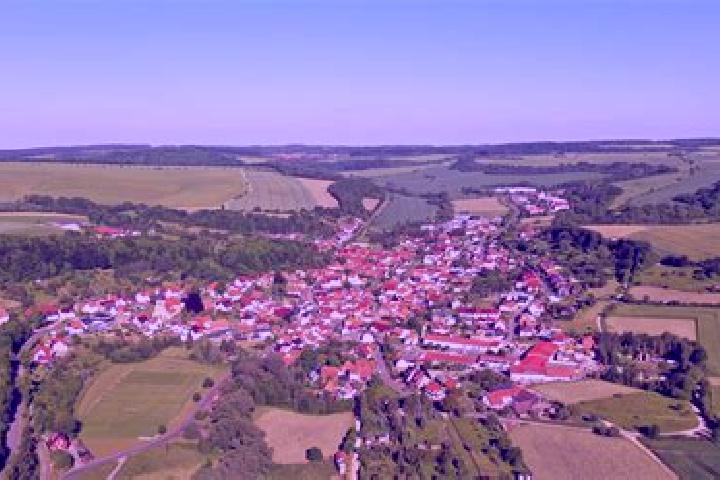 escort Geisleden
