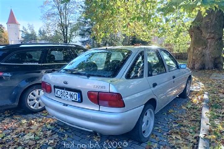 escort Geldersheim