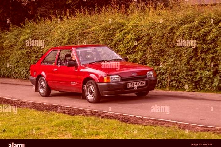escort Gelendzhik
