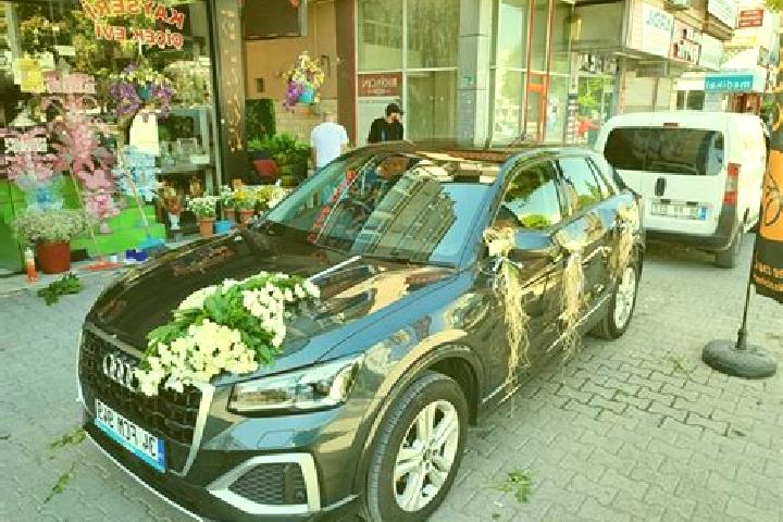 escort Gelin