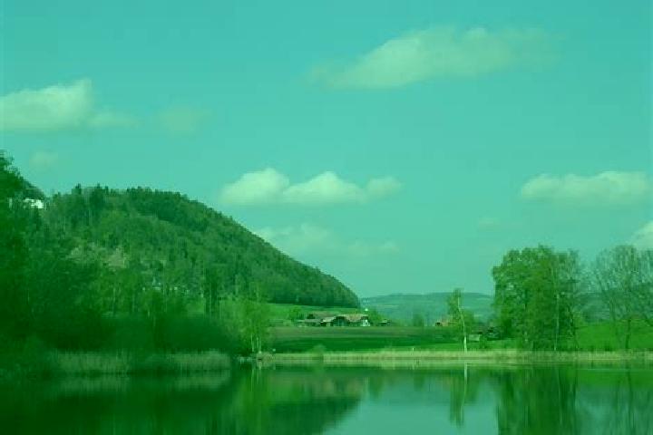 escort Gerzensee