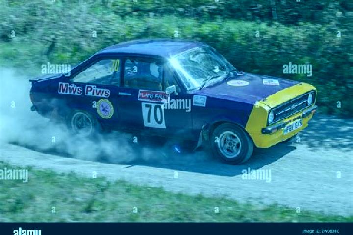 escort Gilles Plains
