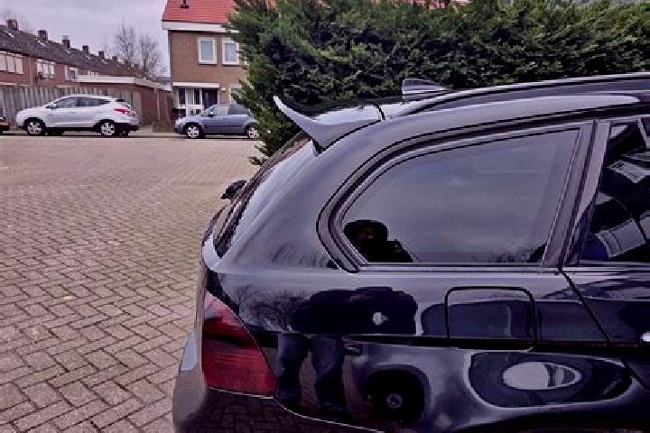 escort Gilze