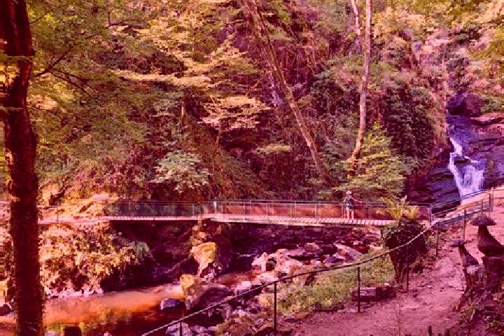 escort Gimel-les-Cascades