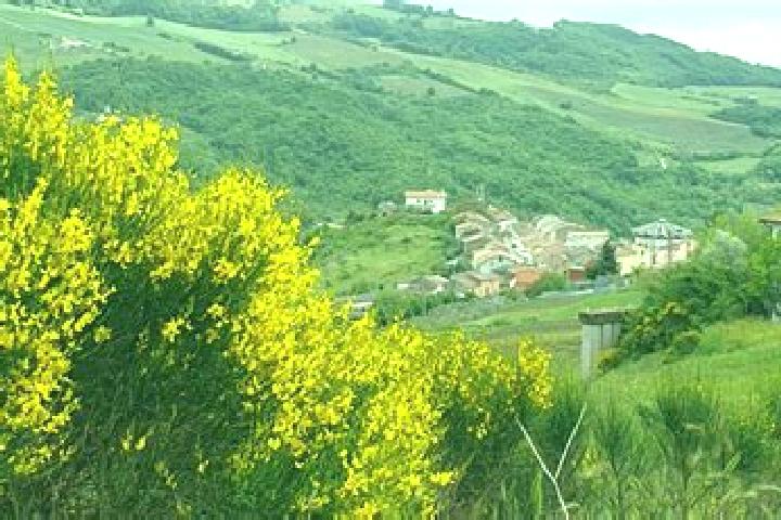 escort Ginestra degli Schiavoni