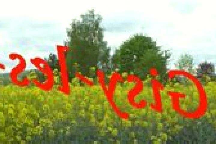 escort Gisy-les-Nobles