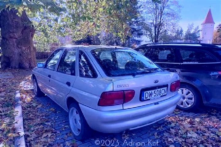 escort Gitesi