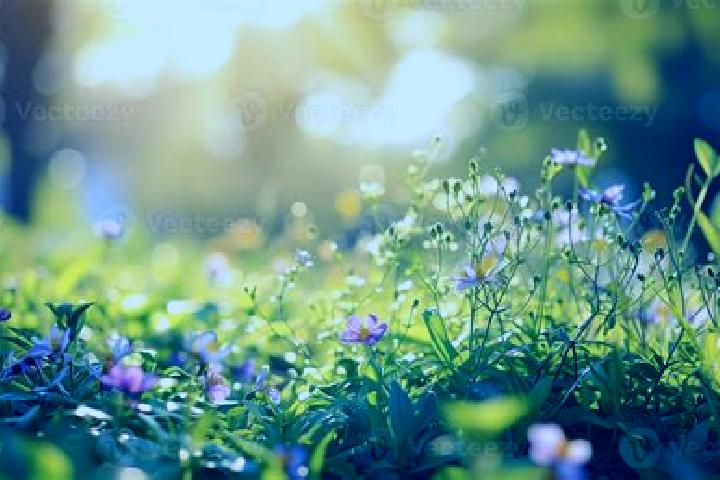escort Glade Spring