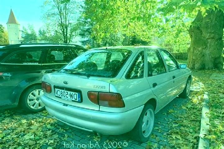 escort Gleisdorf
