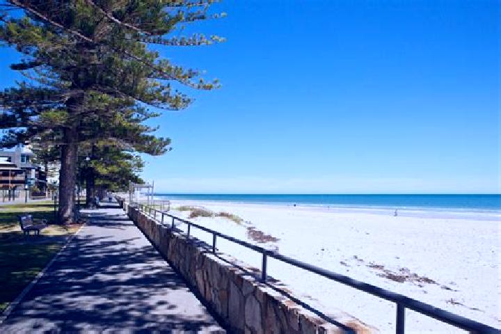 escort Glenelg South