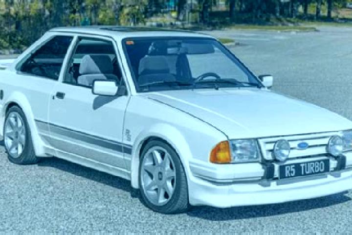 escort Glenmont