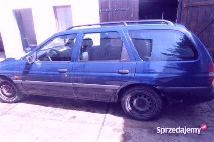 escort Gliwice