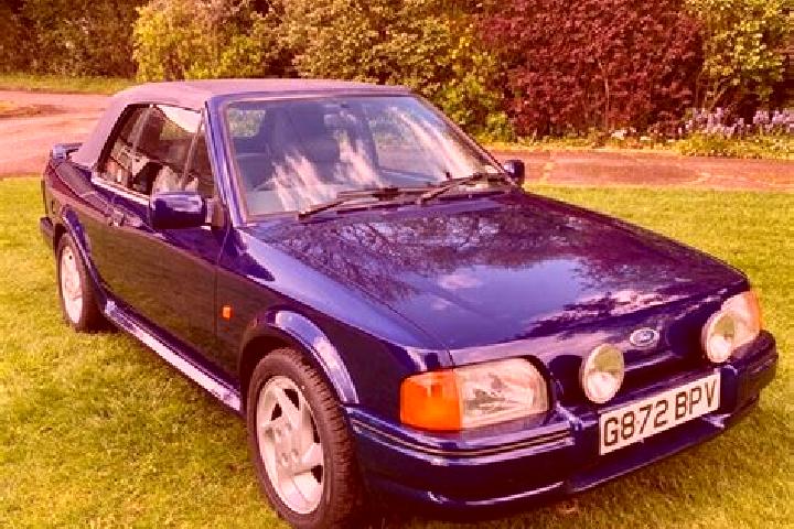 escort Gneixendorf