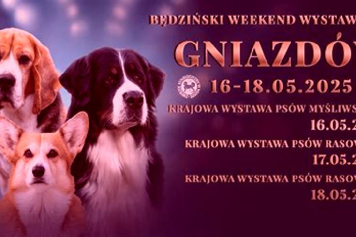 escort Gniazdow