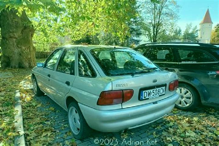 escort Gniew