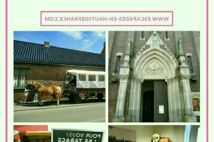 escort Godewaersvelde