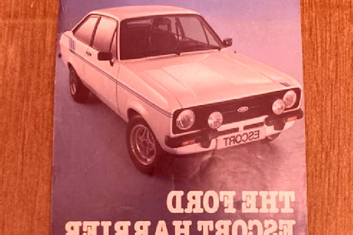 escort Goektepe