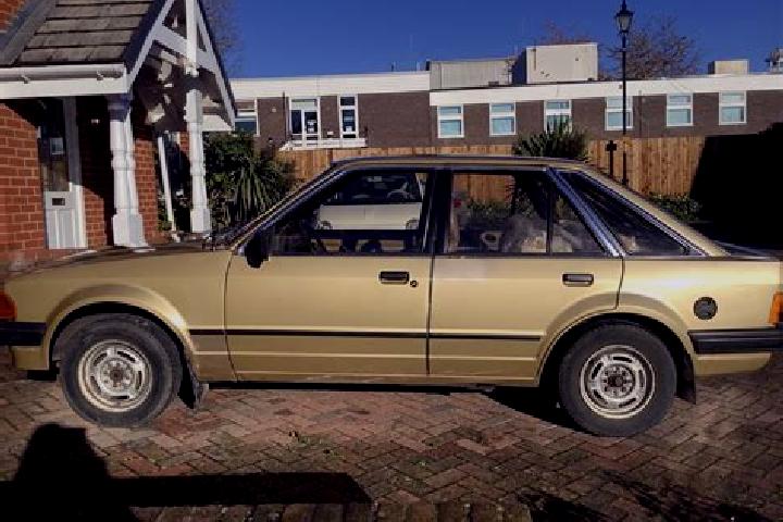 escort Gold River
