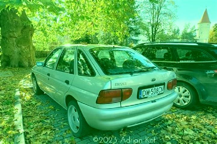 escort Goldbach