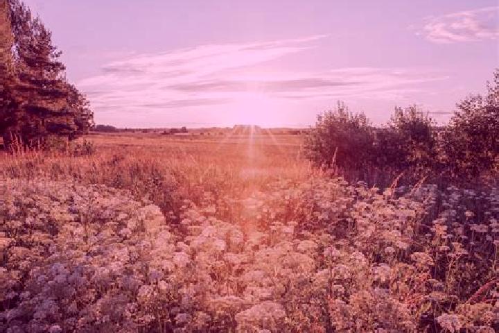 escort Golden Meadow