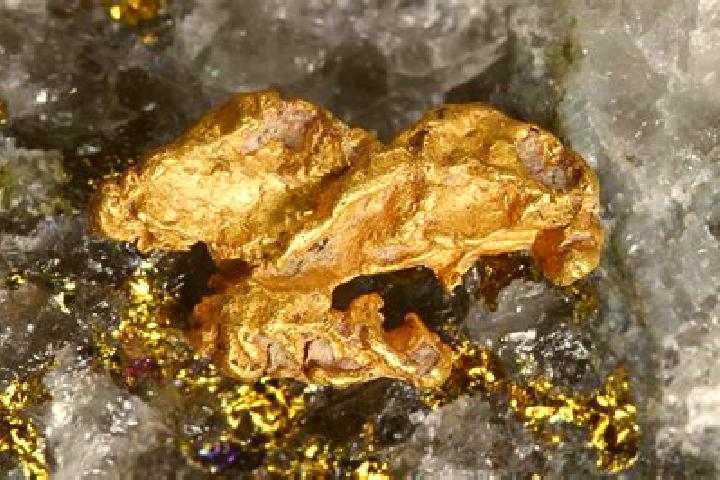 escort Golden Rock