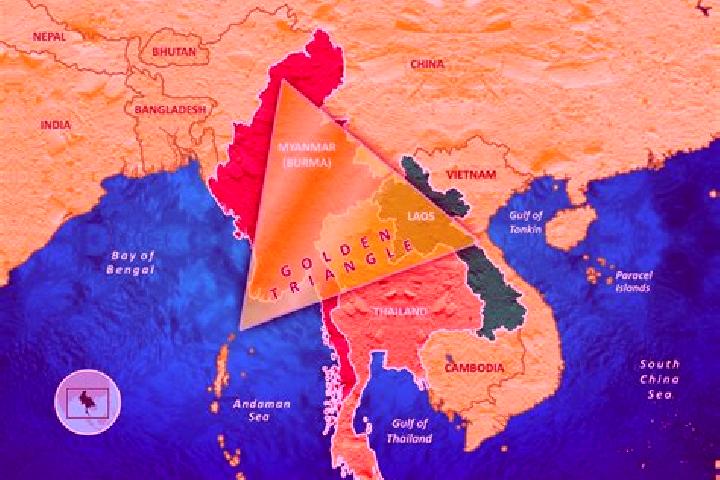 escort Golden Triangle