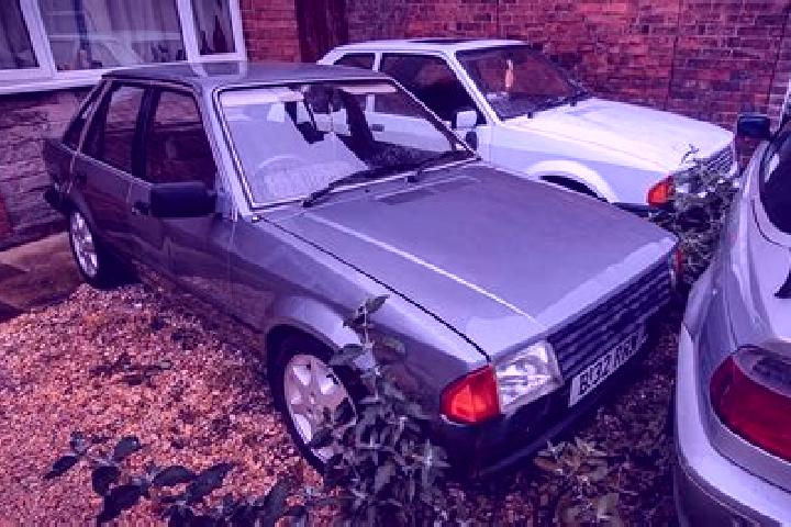escort Golf