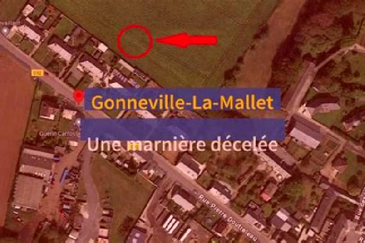 escort Gonneville-la-Mallet