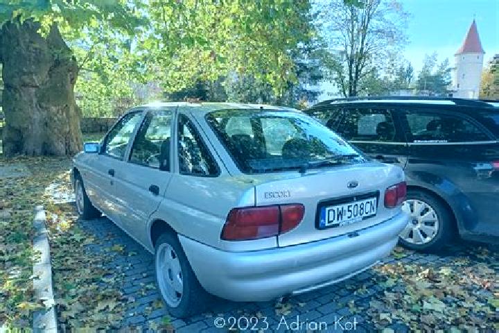 escort Gor kovskoye