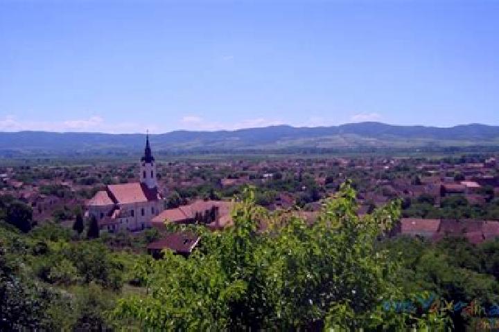 escort Gorna Bela Crkva