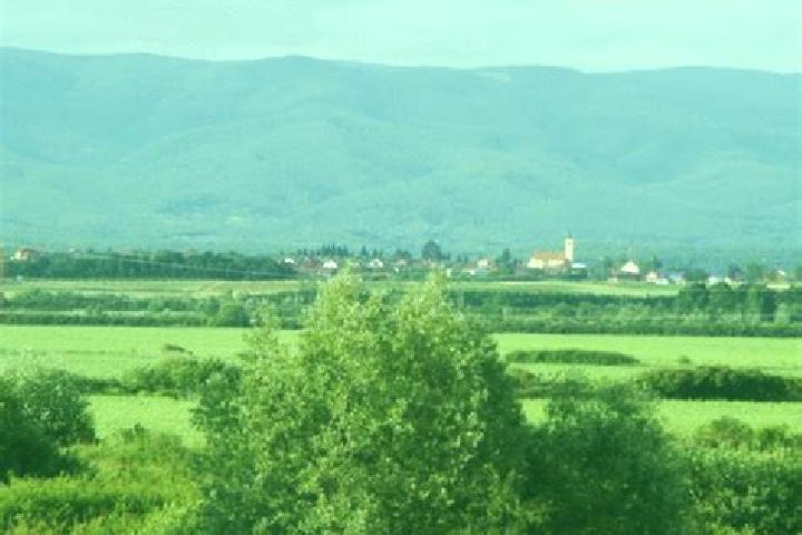 escort Gornji Bogicevci