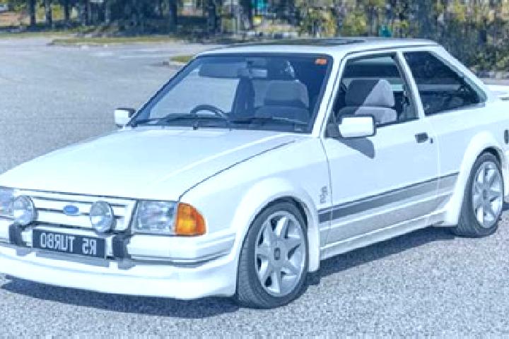 escort Gorzno