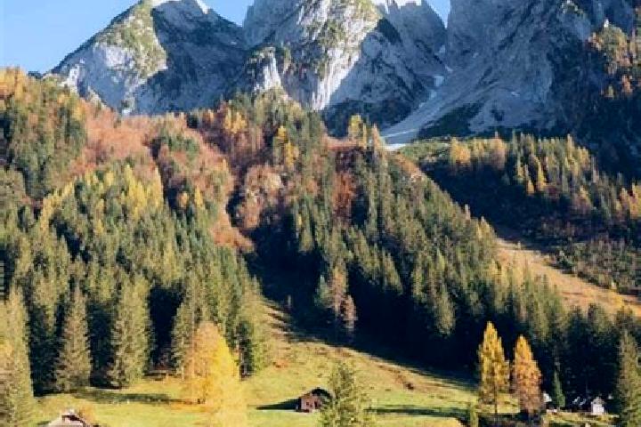 escort Gosau