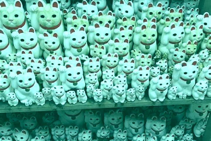 escort Gotokuji
