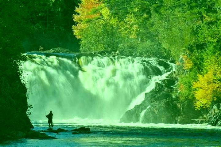 escort Grand Falls