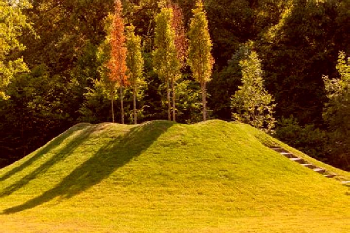 escort Grand Mound