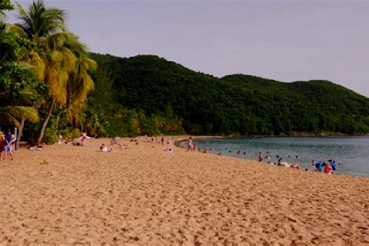 escort Grande-Anse