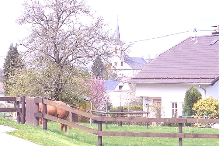 escort Gransdorf