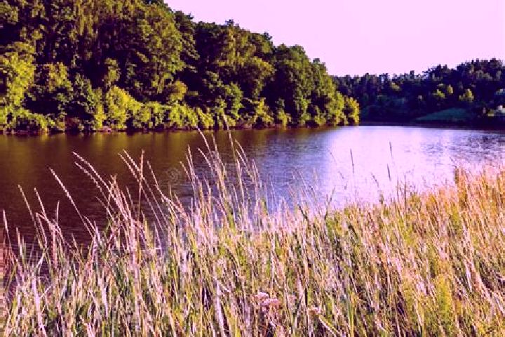 escort Grass Lake