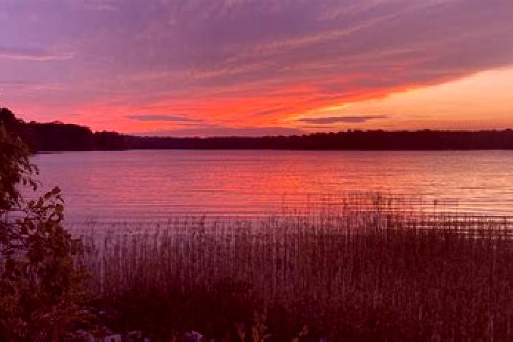 escort Grassy Lake
