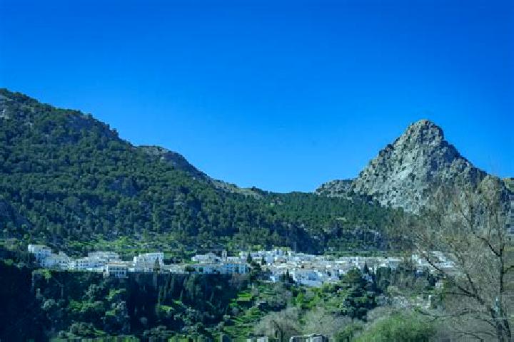 escort Grazalema