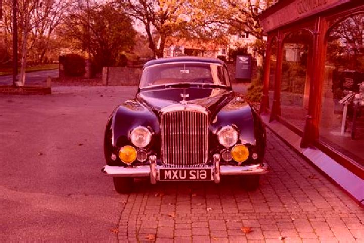 escort Great Bentley