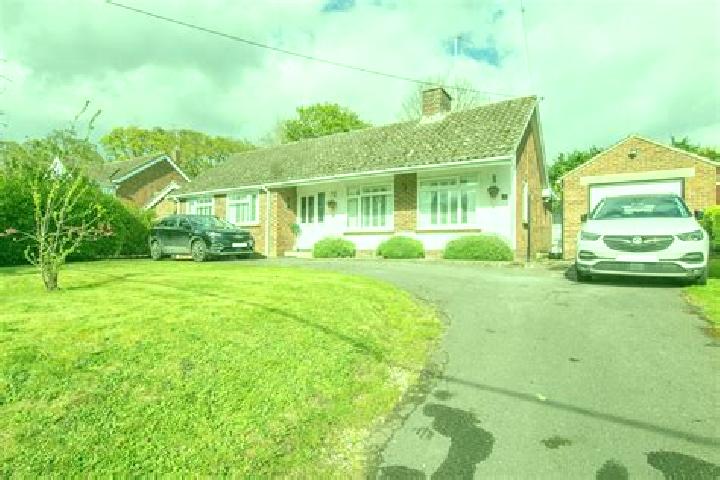 escort Great Yeldham