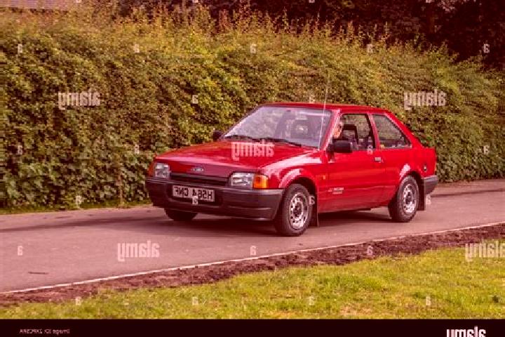 escort Grebnevo