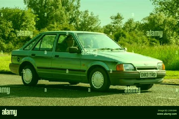 escort Green Forest