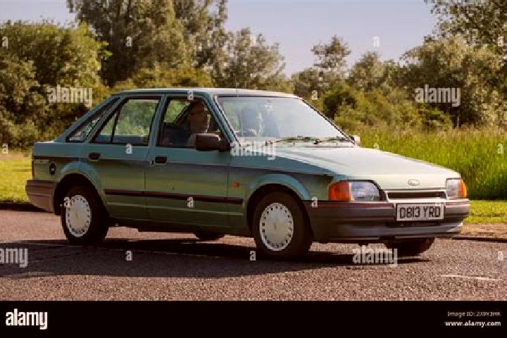 escort Green Island