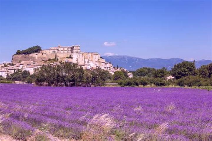 escort Grignan